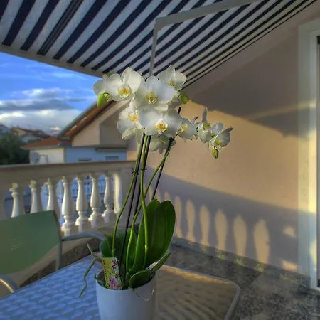 아파트 Buric Fw 1 Mit Garten & Gedeckte Terrasse Čižići